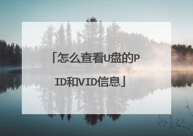 怎么查看U盘的PID和VID信息