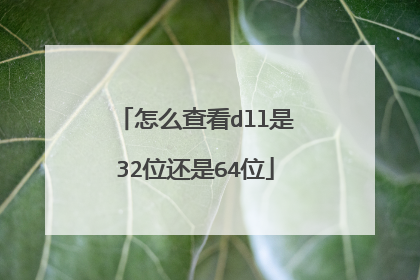 怎么查看dll是32位还是64位