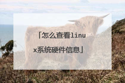 怎么查看linux系统硬件信息