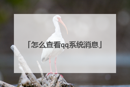 怎么查看qq系统消息