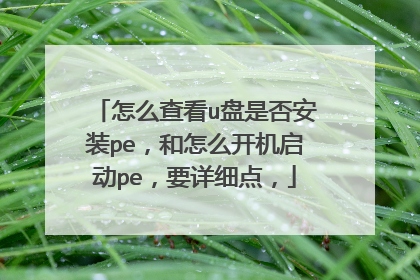 怎么查看u盘是否安装pe，和怎么开机启动pe，要详细点，