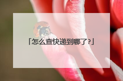 怎么查快递到哪了?