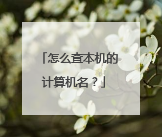 怎么查本机的计算机名?