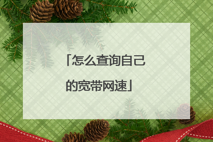 怎么查询自己的宽带网速