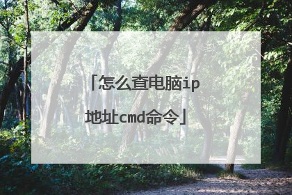 怎么查电脑ip地址cmd命令