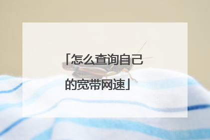 怎么查询自己的宽带网速