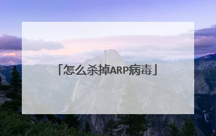 怎么杀掉ARP病毒