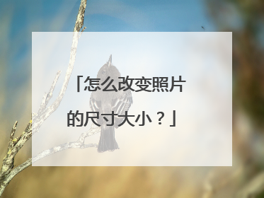 怎么改变照片的尺寸大小?