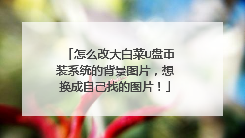 怎么改大白菜U盘重装系统的背景图片，想换成自己找的图片！
