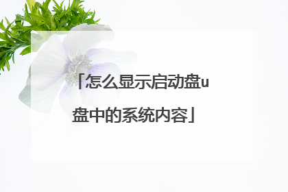 怎么显示启动盘u盘中的系统内容