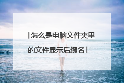 怎么是电脑文件夹里的文件显示后缀名
