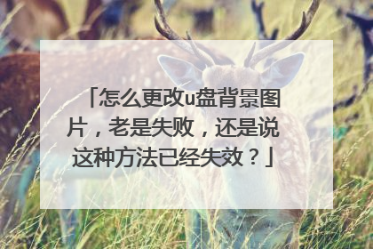 怎么更改u盘背景图片,老是失败,还是说这种方法已经失效?
