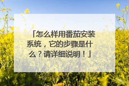 怎么样用番茄安装系统,它的步骤是什么?请详细说明!