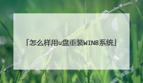 怎么样用u盘重装WIN8系统