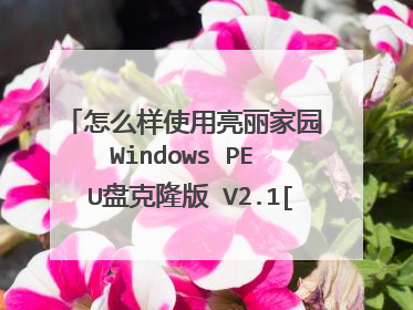 怎么样使用亮丽家园 Windows PE U盘克隆版 V2.1[工具盘]安装系统