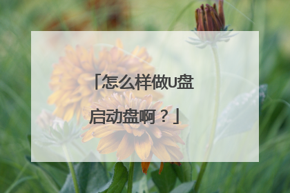 怎么样做U盘启动盘啊?