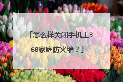 怎么样关闭手机上360家庭防火墙?