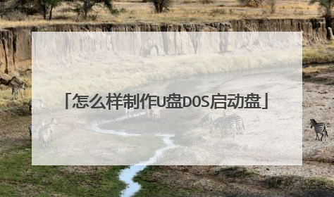 怎么样制作U盘DOS启动盘