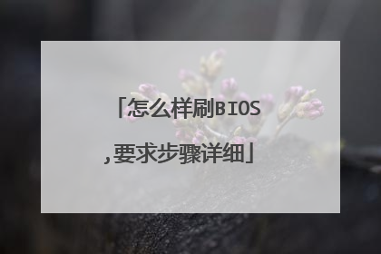 怎么样刷BIOS,要求步骤详细