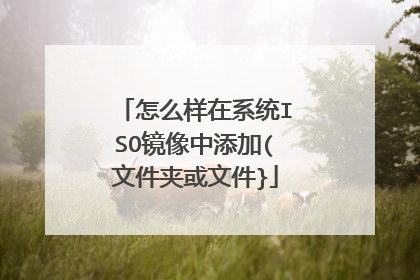 怎么样在系统ISO镜像中添加(文件夹或文件}