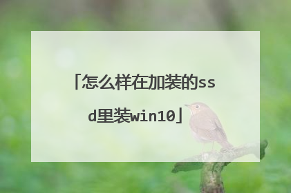怎么样在加装的ssd里装win10