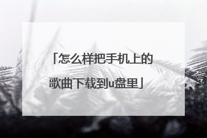 怎么样把手机上的歌曲下载到u盘里