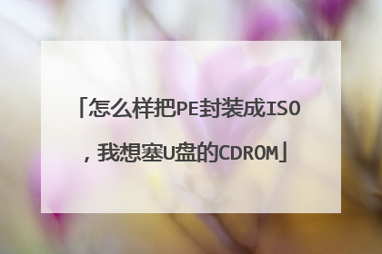 怎么样把PE封装成ISO，我想塞U盘的CDROM