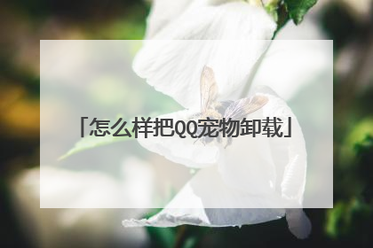 怎么样把QQ宠物卸载