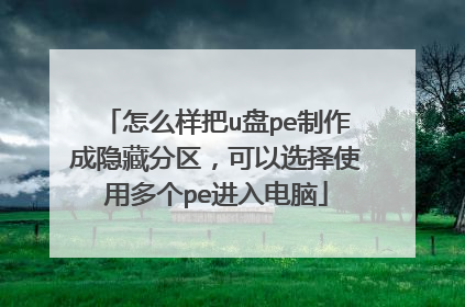 怎么样把u盘pe制作成隐藏分区，可以选择使用多个pe进入电脑