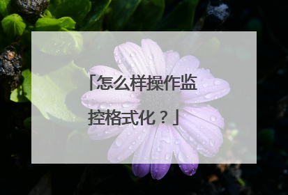 怎么样操作监控格式化?