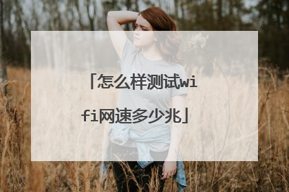 怎么样测试wifi网速多少兆