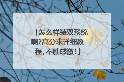 怎么样装双系统啊?高分求详细教程,不胜感激!