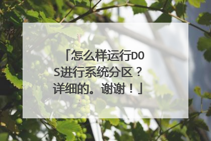 怎么样运行DOS进行系统分区?详细的。谢谢!