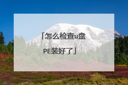 怎么检查u盘PE装好了