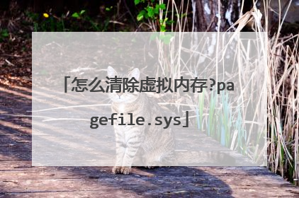 怎么清除虚拟内存?pagefile.sys
