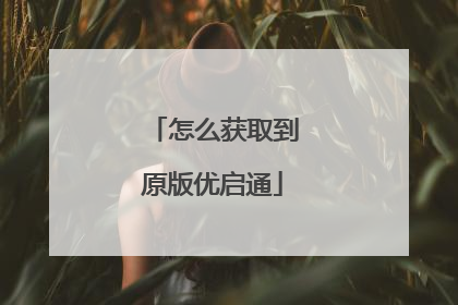 怎么获取到原版优启通