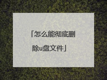 怎么能彻底删除u盘文件