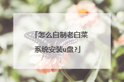 怎么自制老白菜系统安装u盘?