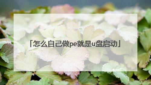 怎么自己做pe就是u盘启动