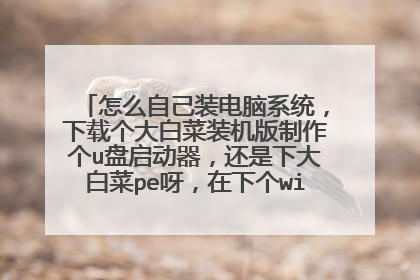 怎么自己装电脑系统，下载个大白菜装机版制作个u盘启动器，还是下大白菜pe呀，在下个win7系统，求