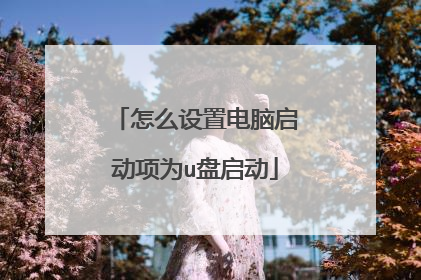 怎么设置电脑启动项为u盘启动