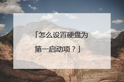 怎么设置硬盘为第一启动项?