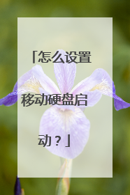怎么设置移动硬盘启动?