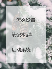 怎么设置笔记本u盘启动系统