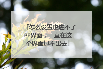 怎么设置也进不了PE界面,一直在这个界面退不出去