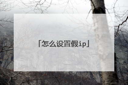 怎么设置假ip