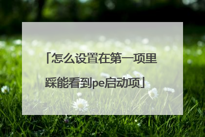 怎么设置在第一项里踩能看到pe启动项