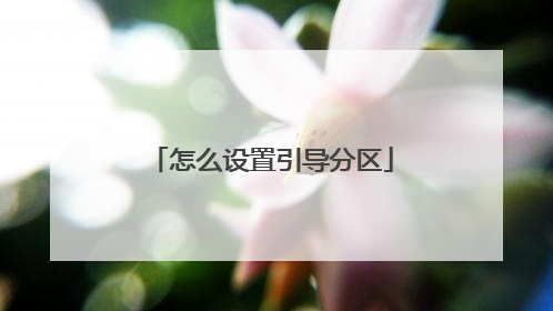 怎么设置引导分区