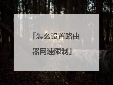 怎么设置路由器网速限制