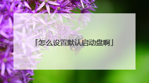 怎么设置默认启动盘啊